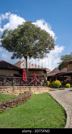 Rustikale Öko-Lodge mit traditionellen Strohdächern, Unterkunft in der afrikanischen Savanne. Stockfoto