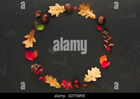 Saisonale Blätter und Früchte Erstellen Sie ein Mosaikdisplay auf dunklem Hintergrund Stockfoto