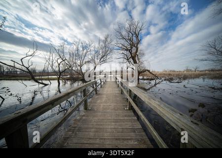 Brücke über den Teich führt durch karge Bäume des Herbstes zu einem Teich Stockfoto