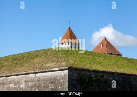 Mittelalterliche Verteidigungstürme mit rot gekachelten konischen Dächern auf Tallinns Stadtmauern, Estland, erheben sich von einer grasbewachsenen Erdmauer unter einem klaren blauen Himmel Stockfoto