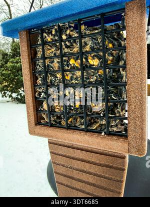 Suet für Spechte mit Zusatz von Samen und anderen Zutaten. Sie ist in einer Käfigzuführung dargestellt. Stockfoto