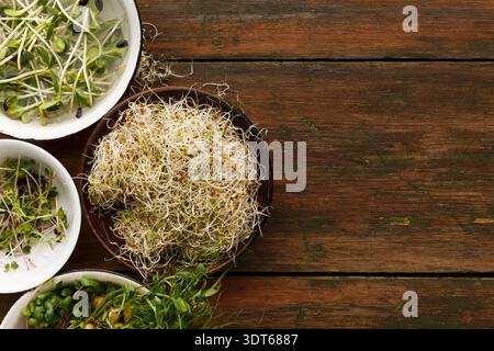 Sammlung von frischen Sprossen und Grünpflanzen auf Holztisch mit verschiedenen Pflanzenarten Stockfoto