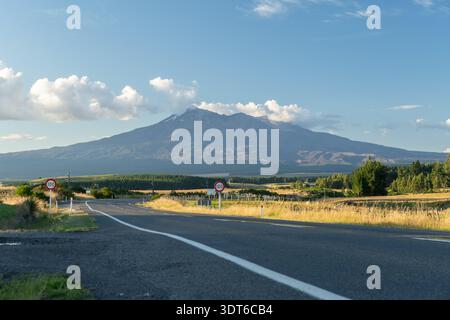 Blick auf den Berg Ruapehu von Wairou, vom Volcanic Loop Highway, Route 49, Tongariro National Park, Nordinsel, Neuseeland. Stockfoto