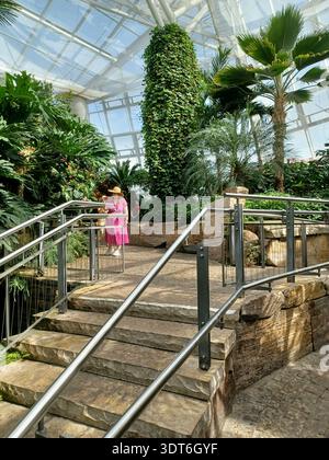 Niagara Falls, ON, Kanada - 4. August 2025: Dieses Bild zeigt eine Frau inmitten tropischer Pflanzen im Butterfly Conservatory. Stockfoto