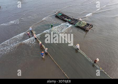 Fischer werfen Netze in flachen Küstengewässern von Hai Hau, Nam Dinh, Vietnam Stockfoto