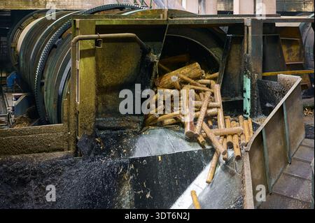 Trommelentrindung im Betrieb in einem Holzwerk, die Rinde während der Verarbeitung effizient von Baumstämmen entfernt Stockfoto