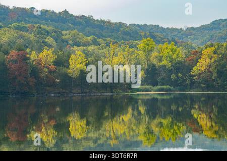 Der ruhige See spiegelt lebhafte Herbstbäume, überwiegend gelb. Stockfoto