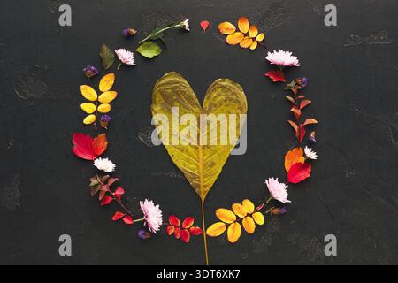 Sammlung von Blättern und Blumen in Herzform auf dunkler Oberfläche Stockfoto