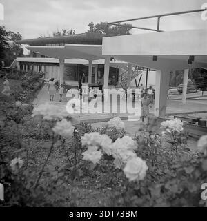 Ein historisches Schwarzweiß-Archivfoto aus den 1960er Jahren, das einen friedlichen Nachmittag im berühmten All-Union Artek Pionierlager in Gurzuf auf der Krim festnimmt. Im Vordergrund blühen wunderschöne Rosen in einem Garten. Die Szene zeigt einen Freizeitbereich im Freien mit modernistischen Pavillons, in denen Kinder und Erwachsene Sommeraktivitäten genießen. Einige Leute spielen Tischtennis, während andere sich um ein großes Schach auf einem Tisch versammeln. Dieses eindrucksvolle Bild bewahrt die visuelle Erinnerung an eine glückliche Kindheit, die Architektur des Resorts und das Leben vor dem Krieg in der UdSSR. Stockfoto