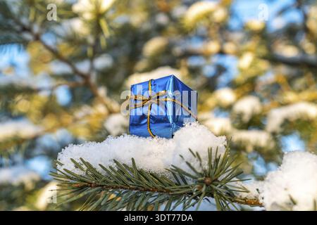 Eine kleine Geschenkbox aus Tannenzweigen. Geschenkspielzeug auf dem Weihnachtsbaum im Schnee Stockfoto