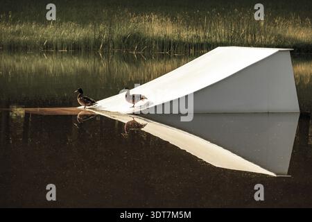 Wakeboard-Park in einem See. Outdoor- und Extremsport. Enten sitzen auf einer Rampe im Wake Park Stockfoto
