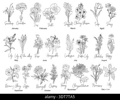 Satz von Geburtsmonat Blumen Linie Art Vektoren Stock Vektor