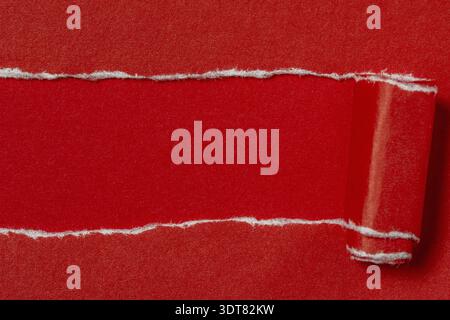 Gerissenes rotes Papier mit rotem Hintergrund. Leerzeichen für Text Stockfoto