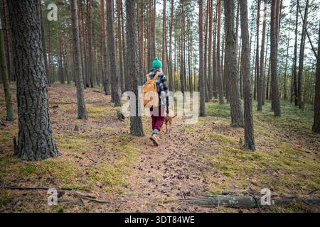 Frau geht mit Vizsla Hund an der Leine im Herbst Kiefernwald auf Pfad umgeben von grünem Moos Rückansicht Stockfoto