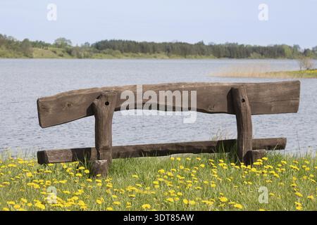 Leere Holzbank am Seeufer, idealer Platz zum Ausruhen Stockfoto