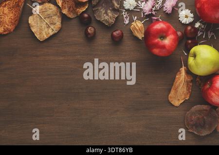 Sammlung von Herbstfrüchten und Blättern in einer Collage auf hölzernem Hintergrund Stockfoto