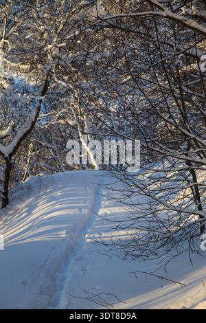 Majestätischer Winterblick über den nebeligen norwegischen Fjord und schroffe, schneebedeckte Grate in Skandinavien Stockfoto