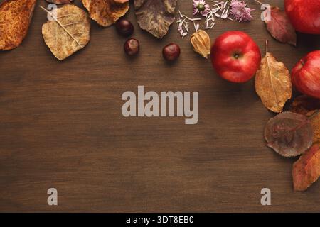 Sammlung von roten Äpfeln und Herbstblättern auf Holzoberfläche angeordnet Stockfoto