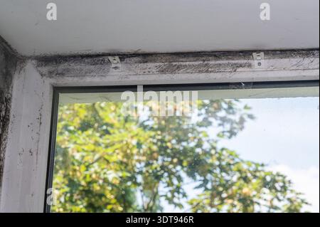 Schimmel am Fensterrahmen bildet dunkle Flecken entlang der oberen Ecke in der Nähe der Decke. Fenster mit Schimmel zeigt Feuchtigkeitsschäden und Schmutzansammlungen, Nahaufnahme. Verschwommen Stockfoto