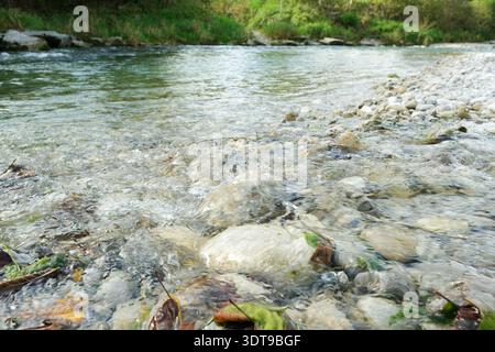 Klares, seichtes Flusswasser, das über Rocks and Stones fließt. Stockfoto