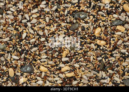 Flache Lagen verschiedener gesunder Samen für Hintergrund oder Tapeten. Stockfoto