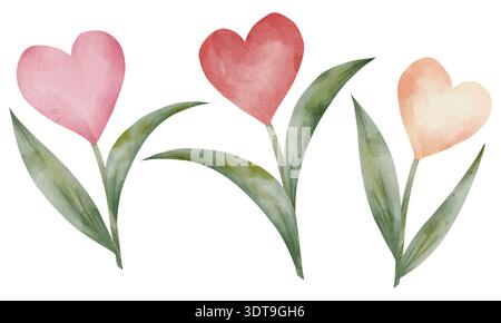 Set aus zarten Aquarell-Tulpen in Herzform in roten, rosa, pfirsichfarbenen Farben mit grünen Blättern. Romantische Illustration, handgezeichnet, isoliert auf weißem Hintergrund. Für Valentinskarten, Hochzeitseinladung Stockfoto