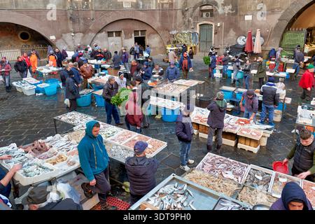 Die Leute kaufen an einem geschäftigen Morgen frischen Fisch, Fleisch und Gemüse auf dem Markt Piscaria in Catania, Italien. Stockfoto