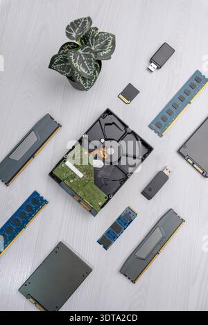 Öffnen Sie die Festplatte in der Mitte, umgeben von RAM-Modulen, SSD, USB-Laufwerk und Speicherkarte auf einem hellen Holztisch Stockfoto