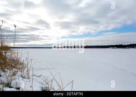 Ein Weitwinkelblick auf einen gefrorenen See mit trockenem Schilf im Vordergrund und einer entfernten Waldlinie. Ideal für Reisen und Freizeit. Stockfoto