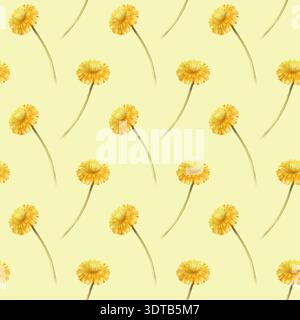 Nahtloses Aquarellmuster mit gelben Löwenzahnblüten auf gelbem Hintergrund. Botanische Illustration. Ein pflanzenbasierter wiederkehrender Hintergrund für Stockfoto