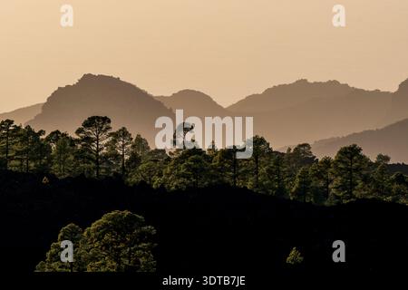 Geschichtete Bergsilhouetten über dem Wolkenmeer bei Sonnenuntergang, Blick vom Teide-Krater in Richtung La Gomera, Teneriffa Stockfoto