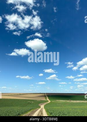 Unbefestigter Weg, der sich durch grüne landwirtschaftliche Felder unter blauem Himmel schlängelt Stockfoto