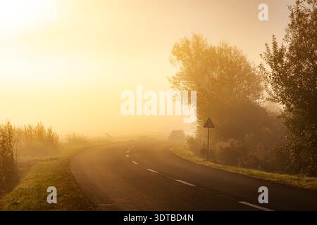 Eine nebelige, sonnendurchflutete Landstraße mit einem gewundenen Asphaltweg, der von hohen, nebeligen Bäumen und Feldern begrenzt wird. Rechts ist ein dreieckiges Warnschild zu sehen, m Stockfoto