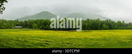 Pferdeweide in Cades Cove in den Great Smoky Mountains Stockfoto