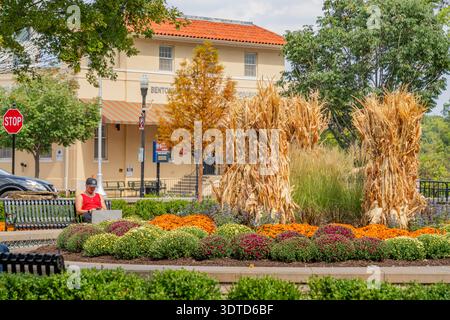 Arkansas, 22. September 2024 - Mann in rotem Tank-Top sitzt auf einer Bank neben einem lebhaften Blumenbeet und hohen getrockneten Maisstängeln vor einem Gebäude mit orangefarbenem Dach. Stockfoto