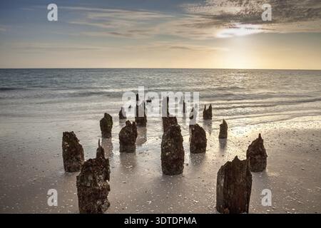 Goldener Sonnenuntergang an einem alten kaputten Pier am Naples Beach in Naples Florida Stockfoto