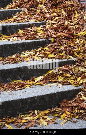 Treppenaufgang bedeckt mit bunten gefallenen Blättern Stockfoto