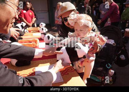 San Diego, USA. Februar 2026. Ein Kind erhält ein Geschenk während einer chinesischen Neujahrsfeier im San Diego Zoo in San Diego, Kalifornien, USA, am 21. Februar 2026. Der Zoo begann am Samstag ein zweitägiges chinesisches Neujahrsfest. Quelle: Zeng Hui/Xinhua/Alamy Live News Stockfoto