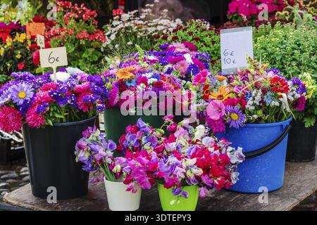 Bunte Vielfalt an Blumen, die auf dem Markt verkauft werden Stockfoto