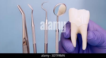 Atelier-Nahaufnahme von professionellen Dentalinstrumenten mit Zahnarzthandschuhen, die ein Zahnmodell auf klarem blauem Hintergrund halten. Ideal für den Zahnarzt Stockfoto