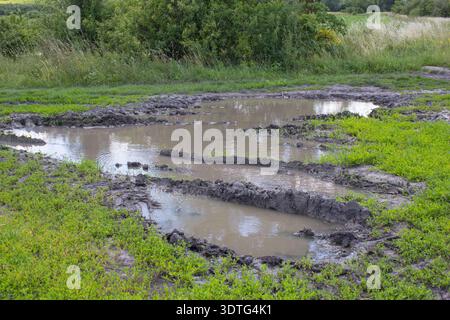 Ländliche Straßen im Sommer nach dem Regen mit einer großen Pfütze Stockfoto