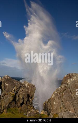 Mächtige Wellen des Atlantiks explodieren durch ein natürliches Fleck zwischen felsigen Klippen auf den Burgen, der Isle of Doagh, der Inishowen Peninsula und der Grafschaft Doneg Stockfoto