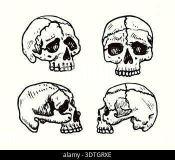 Menschliche Schädelkollektion, handgezeichnetes Doodle, Zeichnung, Skizzierillustration, Designelement Stockfoto