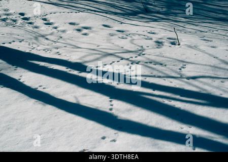 Schatten und Fußabdrücke im Schnee Stockfoto