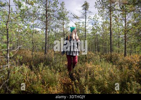 Wanderer, die täglich durch Sumpfkiefernwälder spazieren, genießen die Natur pur. Stockfoto