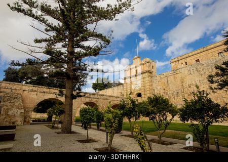 Besucher bewundern das beeindruckende Mdina Tor, umgeben von üppigem Grün und alten Steinmauern, die die Schönheit von Maltas Stille Stadt zeigen. Stockfoto