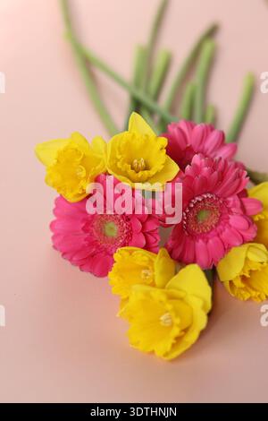 Bouquet von Narzissen und Gerberas auf rosa Hintergrund Stockfoto