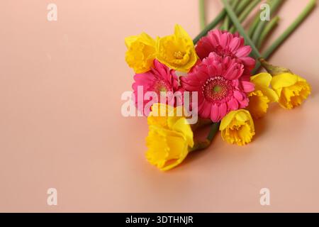 Bouquet von Narzissen und Gerberas auf rosa Hintergrund Stockfoto