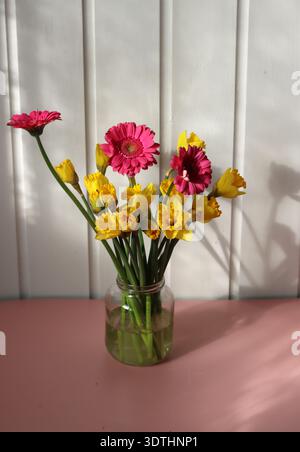 Bouquet von Narzissen und Gerberas auf rosa Hintergrund Stockfoto