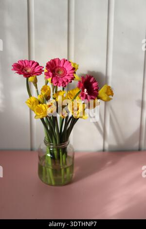 Bouquet von Narzissen und Gerberas auf rosa Hintergrund Stockfoto